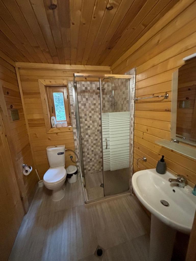 Chalet Sofia Borovets Extérieur photo