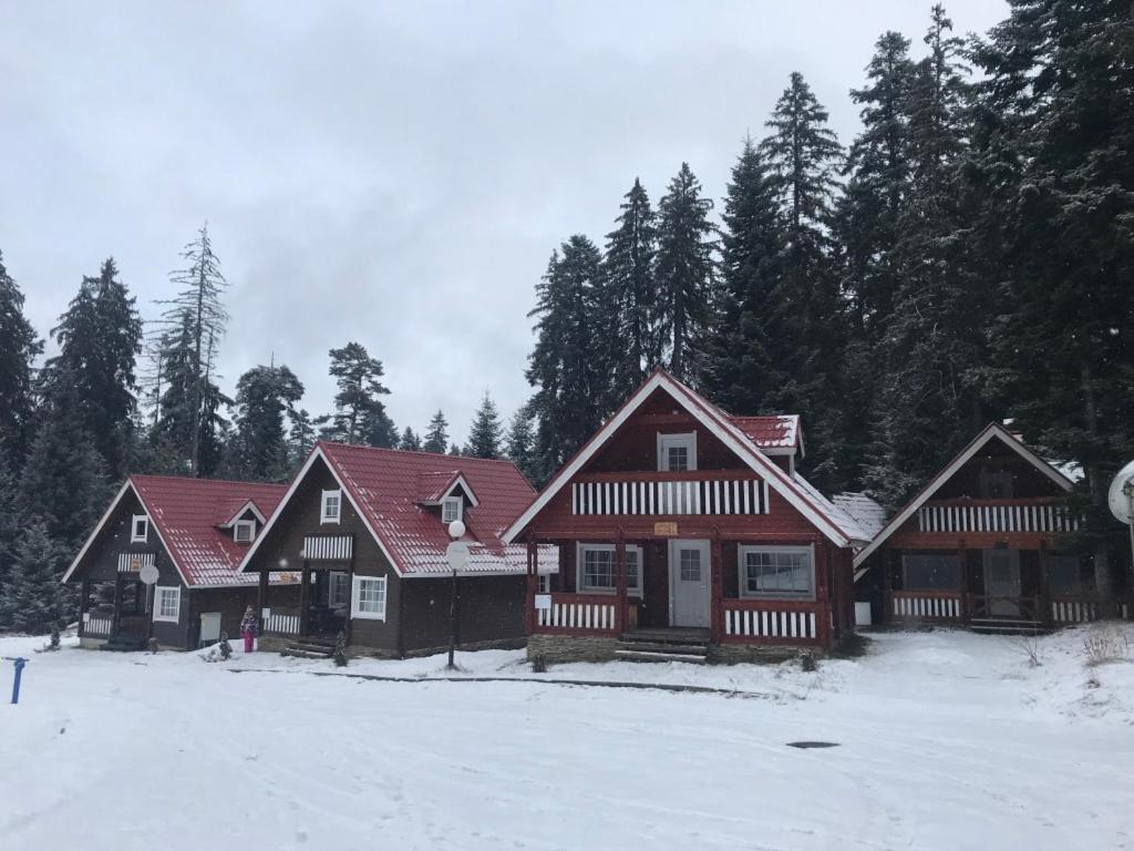 Chalet Sofia Borovets Extérieur photo